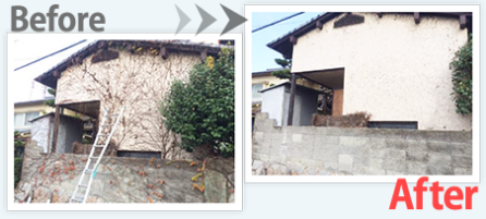 雑草・ツタの除去作業